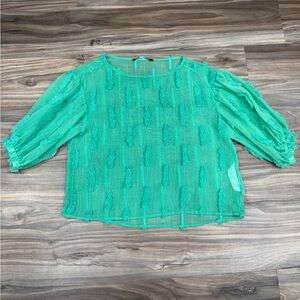 Zara Teal Sheer Puff Sleeve Blouse